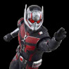 ANT-MAN 15cm.(Ant-Man & The wasp: Quantumania)Marvel  Legends Hasbro HASF6573